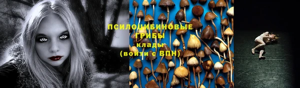 стафф Ладушкин