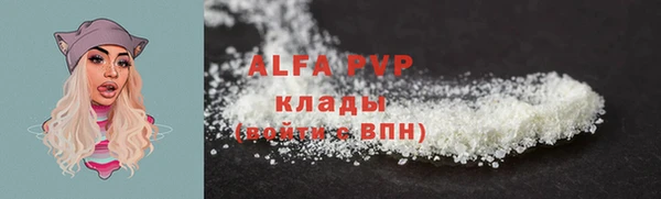 прущие грибы Архангельск