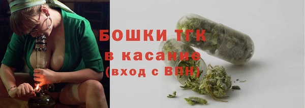 PSILOCYBIN Лагань