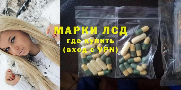 прущие грибы Архангельск