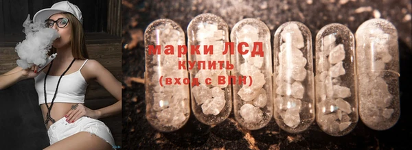 PSILOCYBIN Лагань